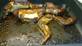 Králík nejen na grilu