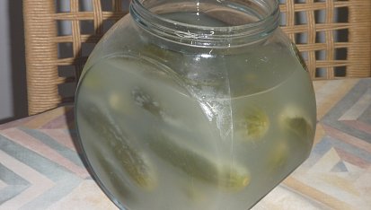 Kvašáky