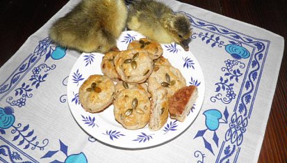 Pagáče s tykvovými semínky, Co to tady mají za dobroty? Mňam!  Myslíš,že to Milka pozná, že jsme ochutnaly?