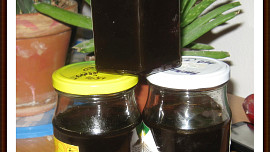 Pampeliškový domácí med