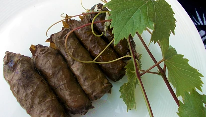 Vinné listy s  pestrou nádivkou