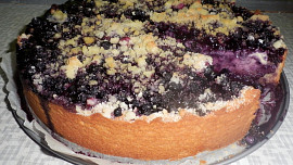 Borůvkový koláč speciál