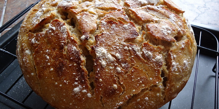Domácí chleba bez hnětení v 2.0 (s droždím nebo kváskem) (jiný už nepeču....  (je z kvásku a nedávám…)