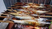 Grilované makrely s libečkem, Grilované makrely s libečkem