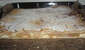 Jablečný koláč s pudinkem a piškoty
