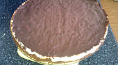 Kokosovo-ricottový cheesecake