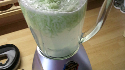 Medvědova osvěžující okurková limonáda, Všechny ingredience rozmixujeme