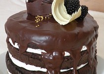 Naked barrel cake - nahý dort