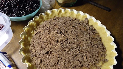Ostružinový křehký koláč s čokoládou