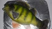 Rybičky