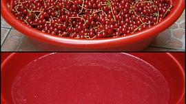 Rybízová marmeláda do 10 minut