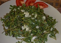 Salát ze šruchy zelné a cibule