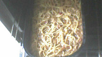 Špagety a lá Iveta