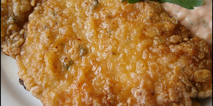 Detail křupavé krustičky osmaženého masa