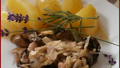 Žampionový gratin s levandulí a rozmarýnem