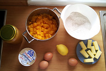 ingredience