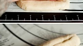 Šmakounův hot dog