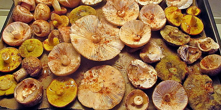 Kadlíkovy pečené houby