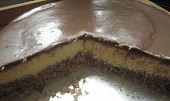 Kokosovo-ricottový cheesecake