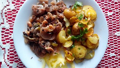 Kuřecí nudličky s žampiony a ředkvičkami