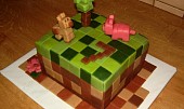 Minecraft dort