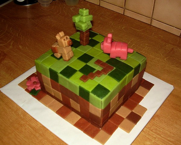 Minecraft dort