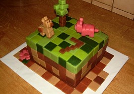 Minecraft dort