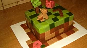 Minecraft dort