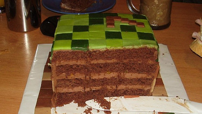 Minecraft dort