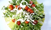 Rajčatovo-salanový salát