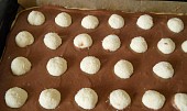Řezy s tvarohovo - kokosovými kuličkami (kuličky nasázené do tmavého těsta)