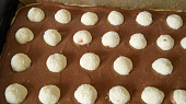Řezy s tvarohovo - kokosovými kuličkami, kuličky nasázené do tmavého těsta