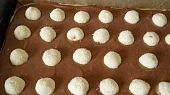 Řezy s tvarohovo - kokosovými kuličkami, kuličky nasázené do tmavého těsta