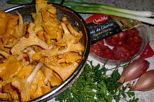 Potřebné ingredience