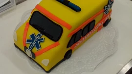 Sanitka