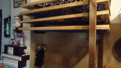 Sušené houby z trouby