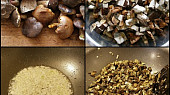 Tatarák z hub, Očištěné hříbky nakrájíme nadrobounko.Na tuku orstujeme nadrobno nakrájenou cibuli,přidáme hřiby,koření a 30minut dusíme