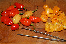 habanero