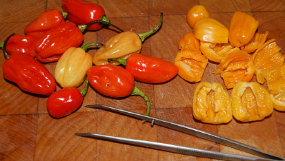 Chilli omáčka od Bohouška, habanero