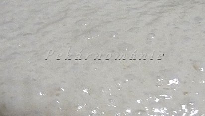 Ciabatta (s prefermentem)