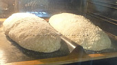 Ciabatta (s prefermentem)