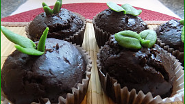 Čokoládové muffiny s kandovaným pomerančem a "jarním" zdobením