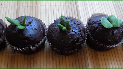 Čokoládové muffiny s kandovaným pomerančem a "jarním" zdobením