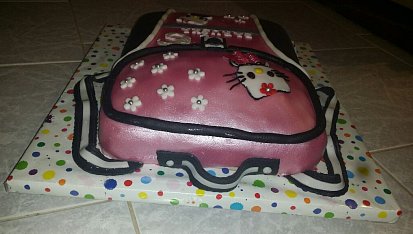 Dort aktovka Helo Kitty