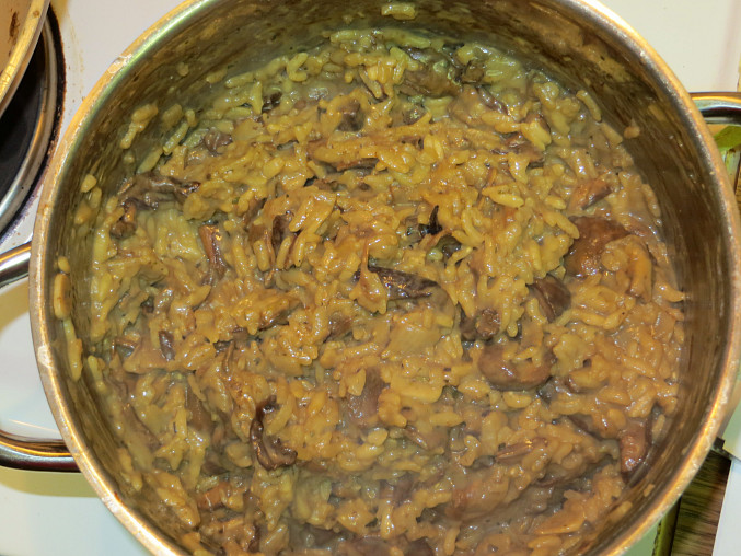 Houbové rizoto z kombinace hub sušených a čerstvých