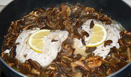Kapr na houbách s vlašskými ořechy – rodinný recept sokolnického rybáře