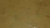 Kuřecí s americkými brambůrky