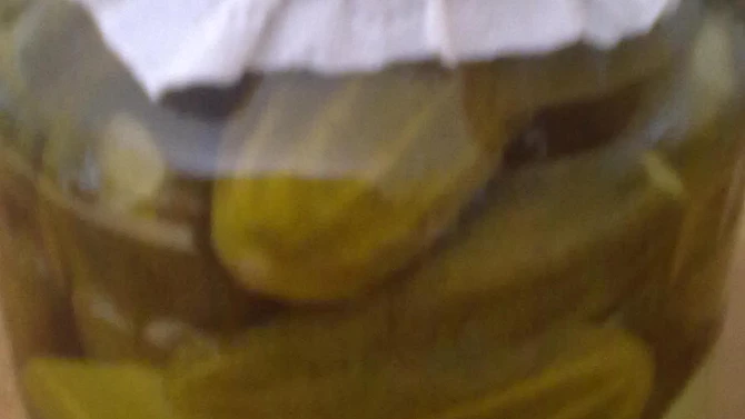 Nakládané okurky paní hajné ze „Šlajfu“, Nakládané okurky paní hajné ze „Šlajfu“