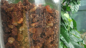 Pomerančovo-kakaová granola