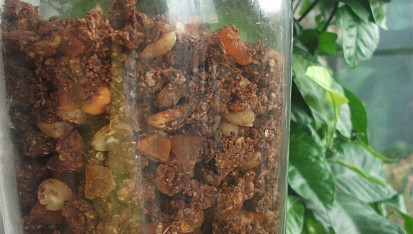 Pomerančovo-kakaová granola